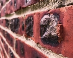 Bricks